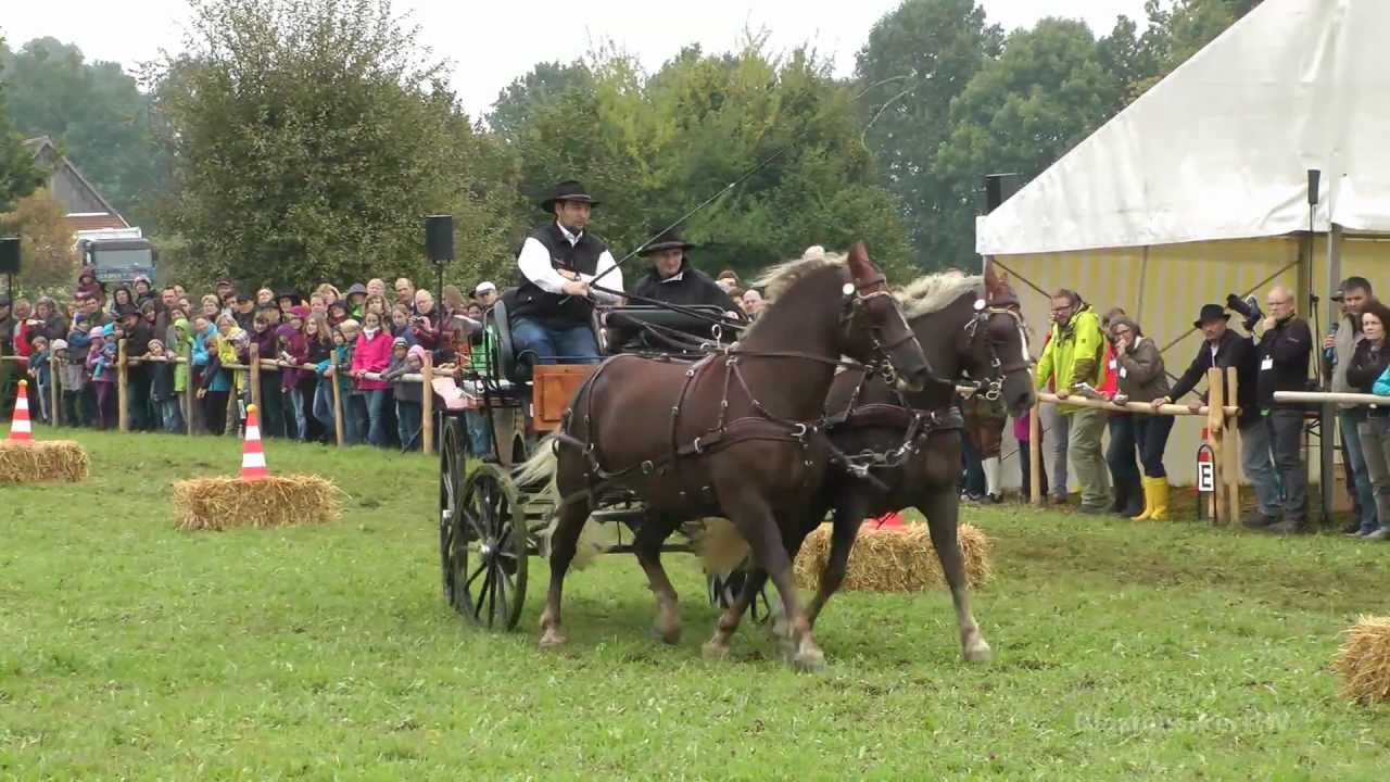 Kaltblüter / Wolfegg (2)
