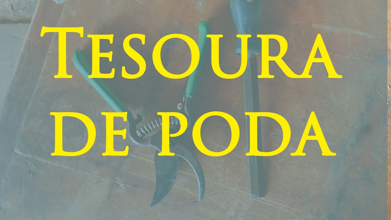 Como afiar a tesoura de poda