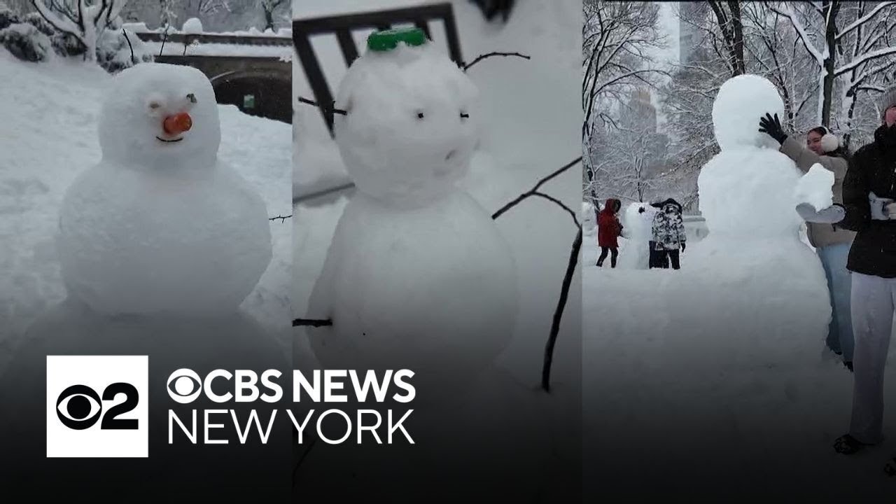 Snowpeople take over Central Park