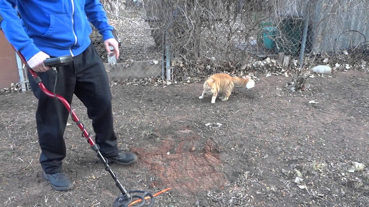 Minelab X-Terra 305 (10k, 14k, 14k White Gold and Platinum test)