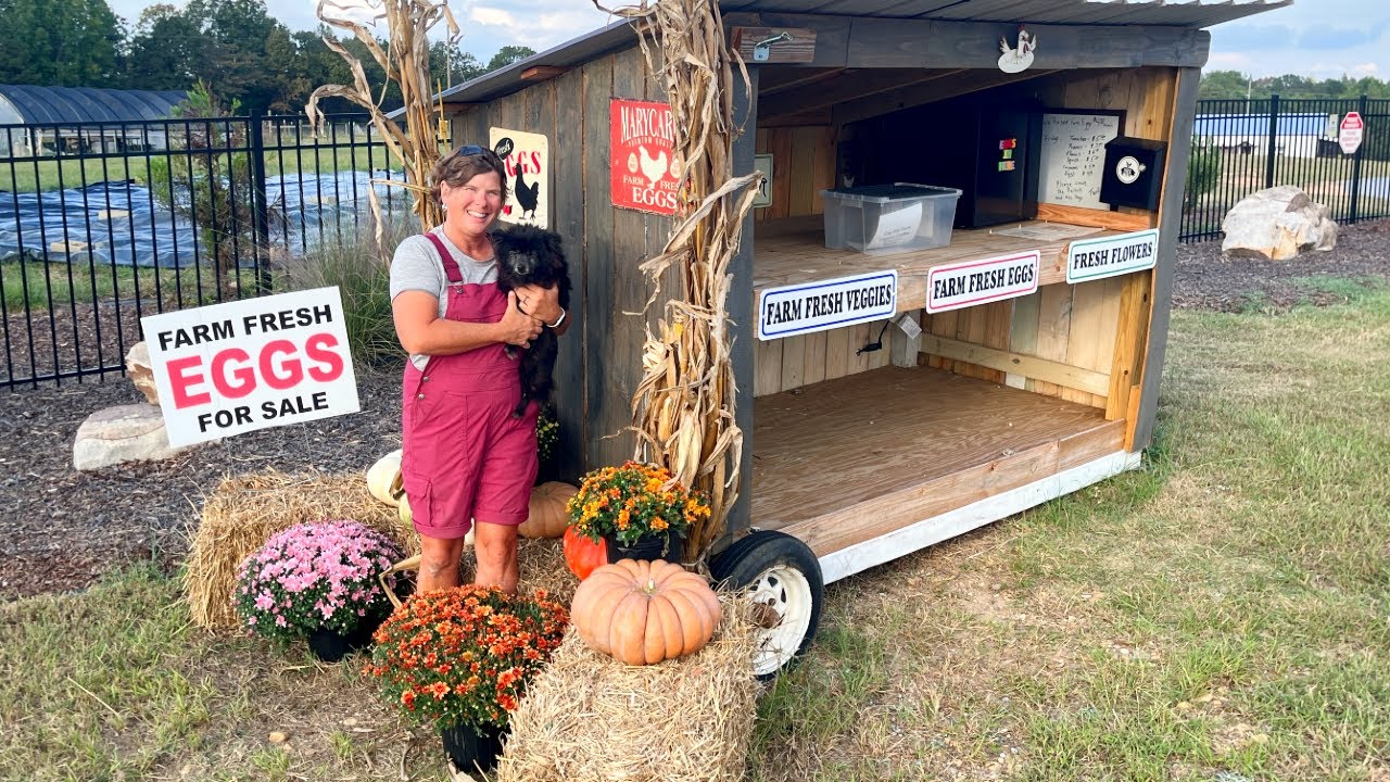 Сегодня мы только что обновили фермерский стенд!