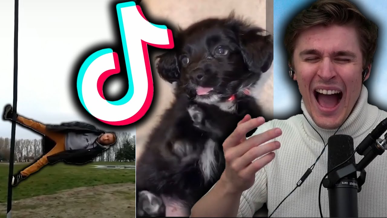 Ludwig Reacts to Tik Toks that aren't actually tik toks