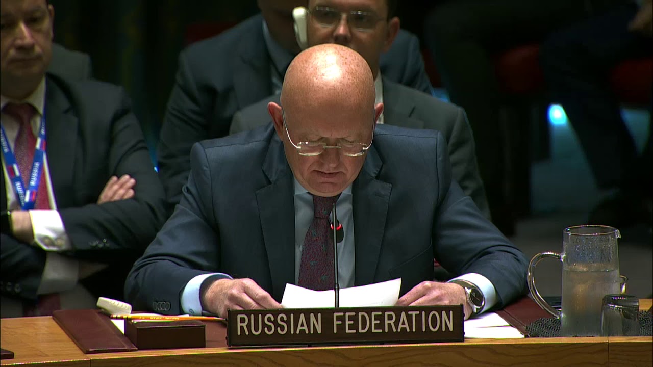 Statement by Amb. Vassily Nebenzia at the UN Security Council Meeting on the Ukrainian language law