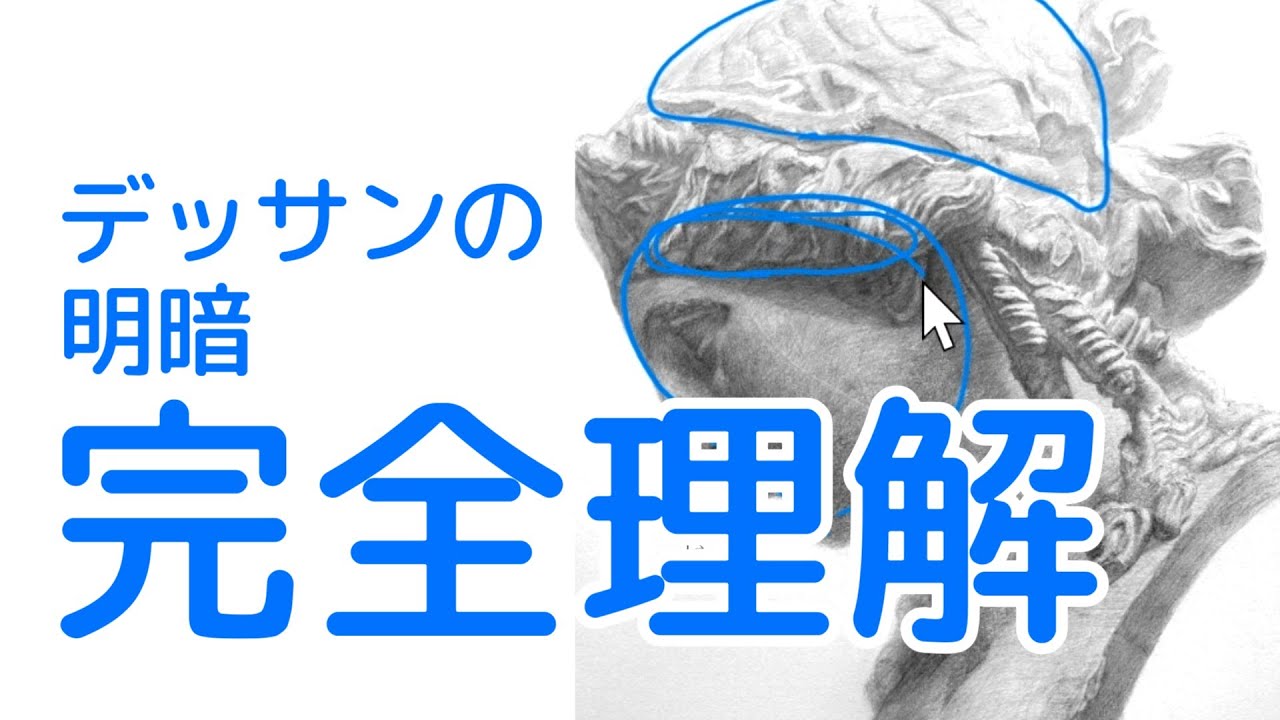 デッサン歴３カ月の初心者をガチ講評【立体感を出す明暗】