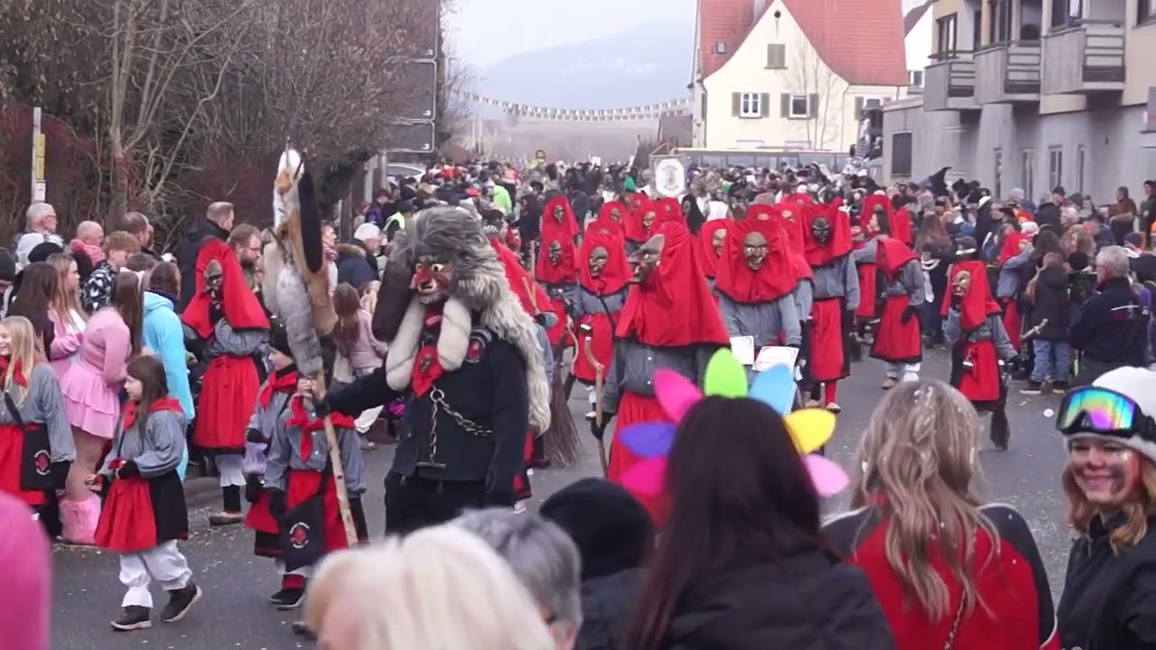 ALDINGEN 25.01.2026 Großer Umzug (Teil 5)