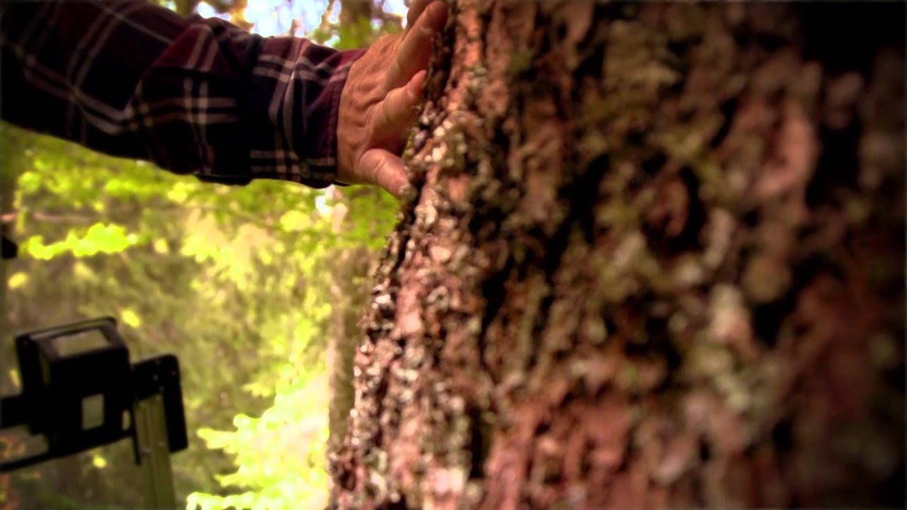 Interview d'un propri&eacute;taire forestier