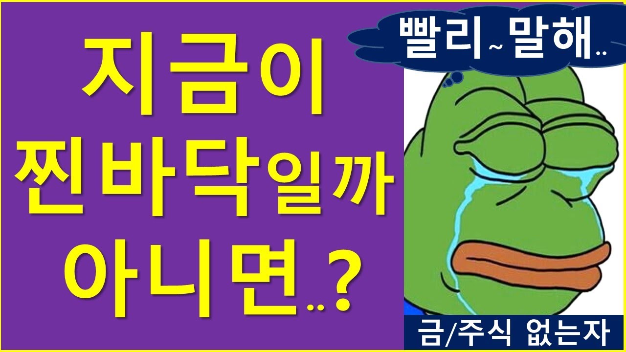 코인.. 지금이 찐 바닥일까요?  (ft. 주의사항)