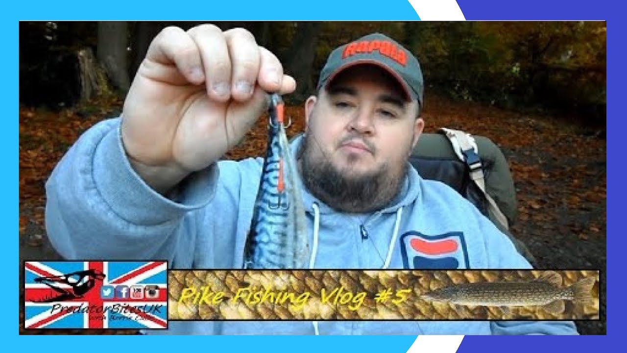 Vlog #5 - Back To THE PONDS.... (Pike Fishng) - PredatorBitesUK
