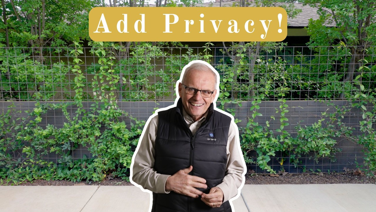 Add Privacy With This DIY Cattle Panel Trellis Fence (with 3 Different Climbing Vines!)