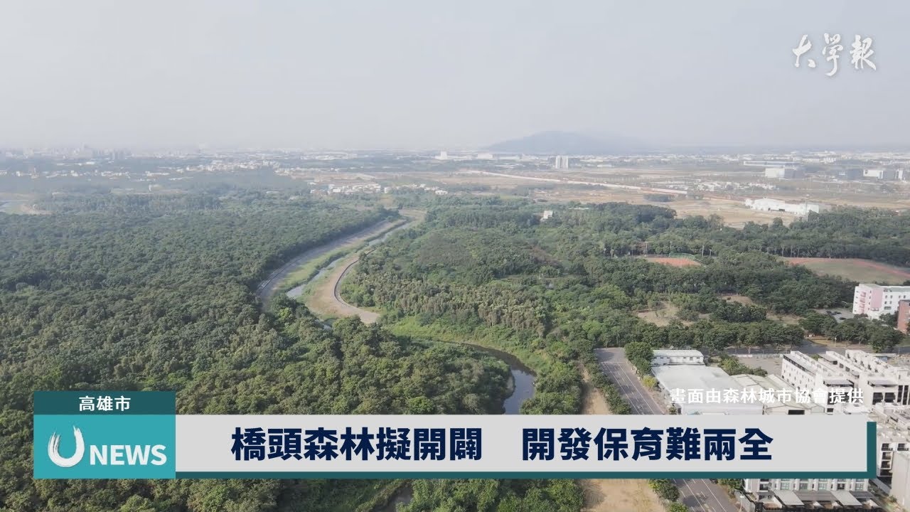 橋頭森林擬開闢　開發保育難兩全