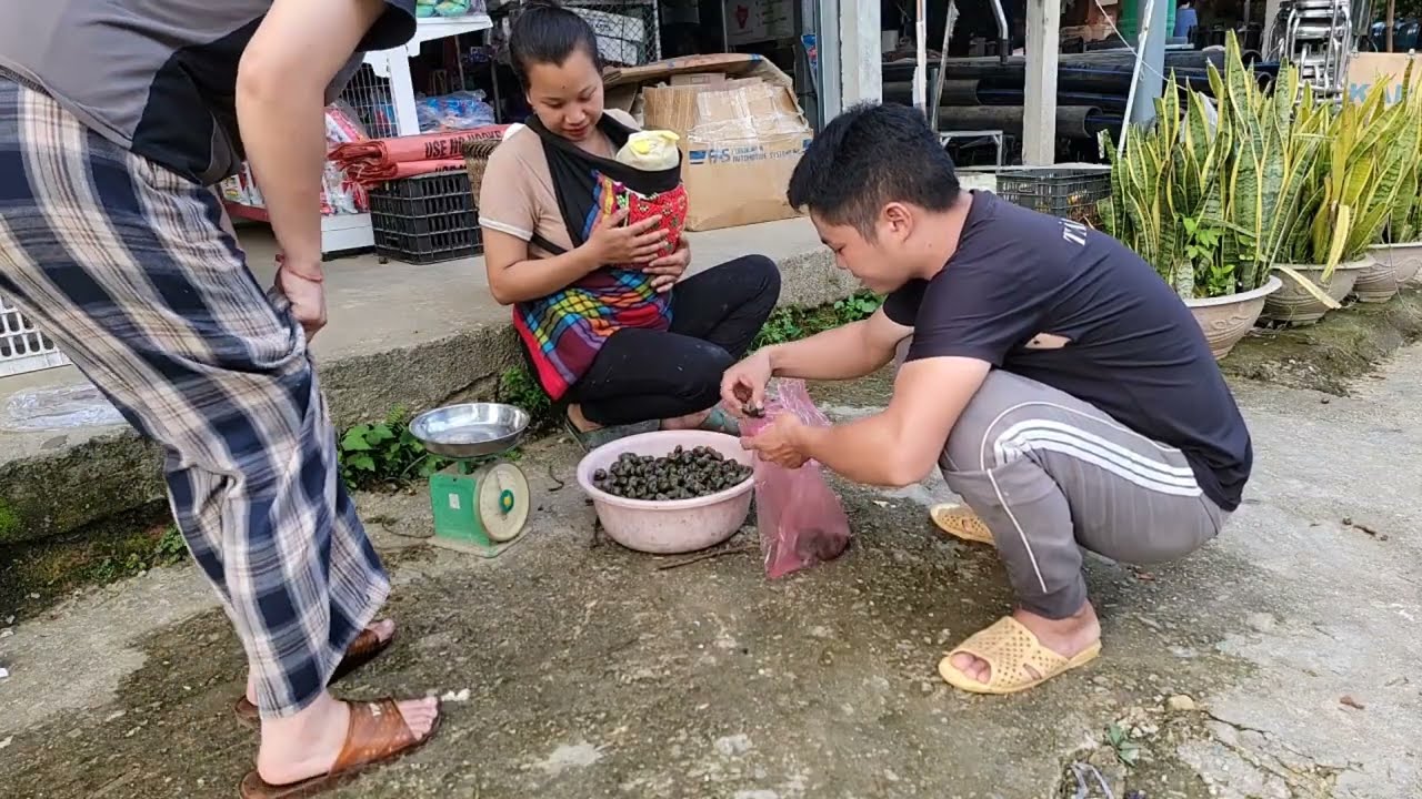 The girl went to catch snails to sell and buy food to cook.