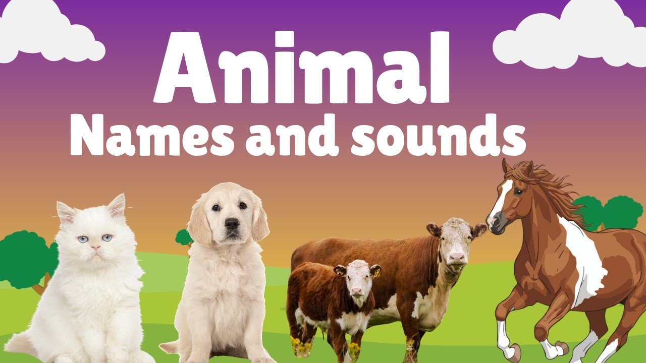 Animals Name and Sound | English | Animals for kids | Thelittledictionary 