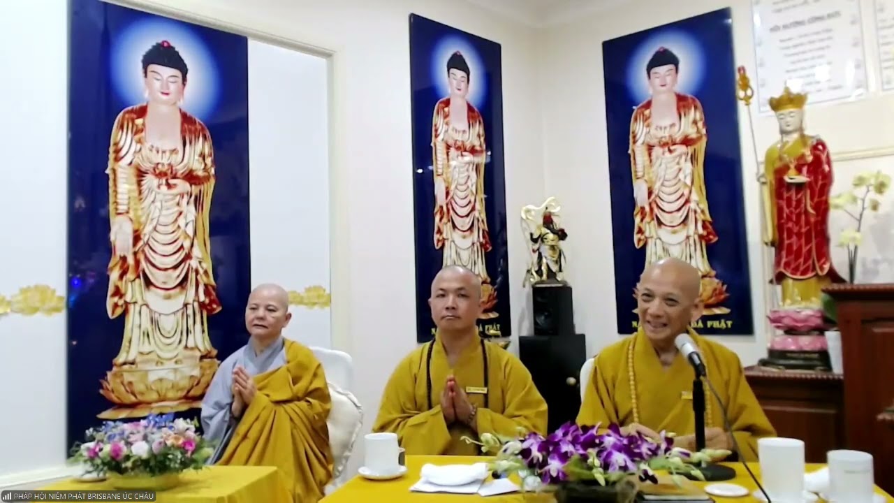 SỬ LÝ CON CHÓ LÀM CHẤN THƯƠNG SỌ NÃO CON NGƯỜI, TRƯỞNG TRÀNG TÁT TV VÀ NÓI LÀ MUỐN TỐT CHO TV ĐÓ