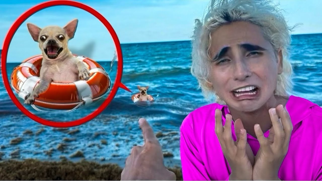 HOPE &Egrave; SCOMPARSO SULLA SPIAGGIA&hellip;😰😭