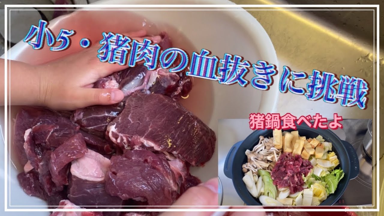 【臭くない猪鍋】小5女子と猪肉を血抜きして猪鍋をしたよ♪