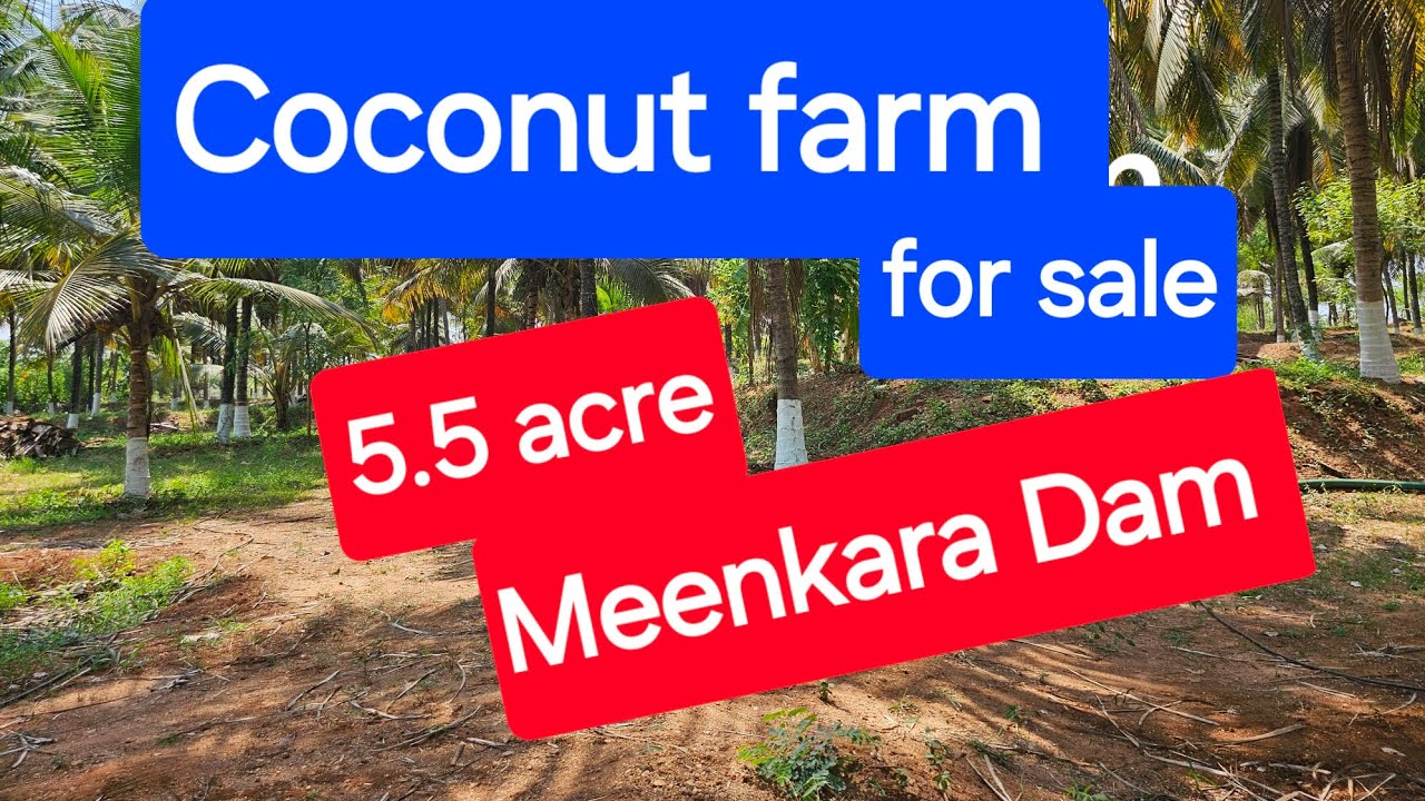Coconut farm for sale 5.5 acre Meenkara Dam 9388890009