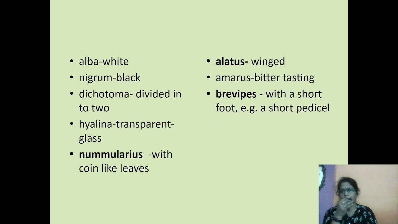 Plant Peculiarities