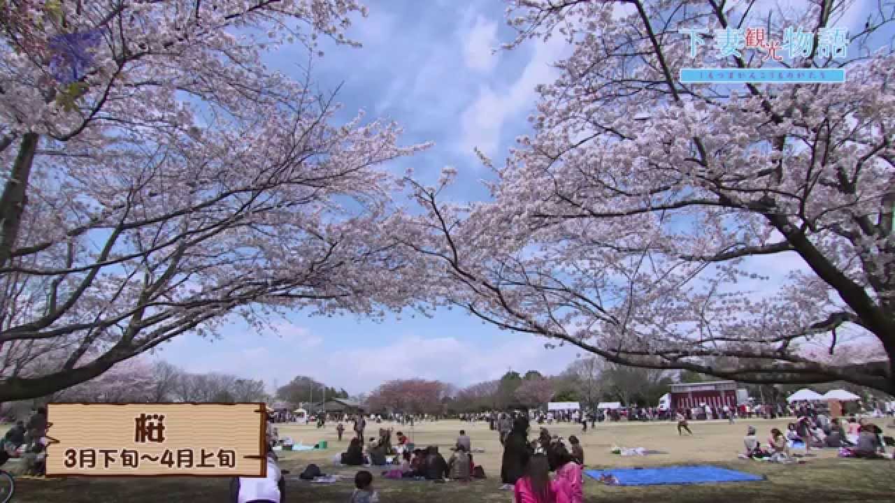下妻市PRビデオ「下妻観光物語」