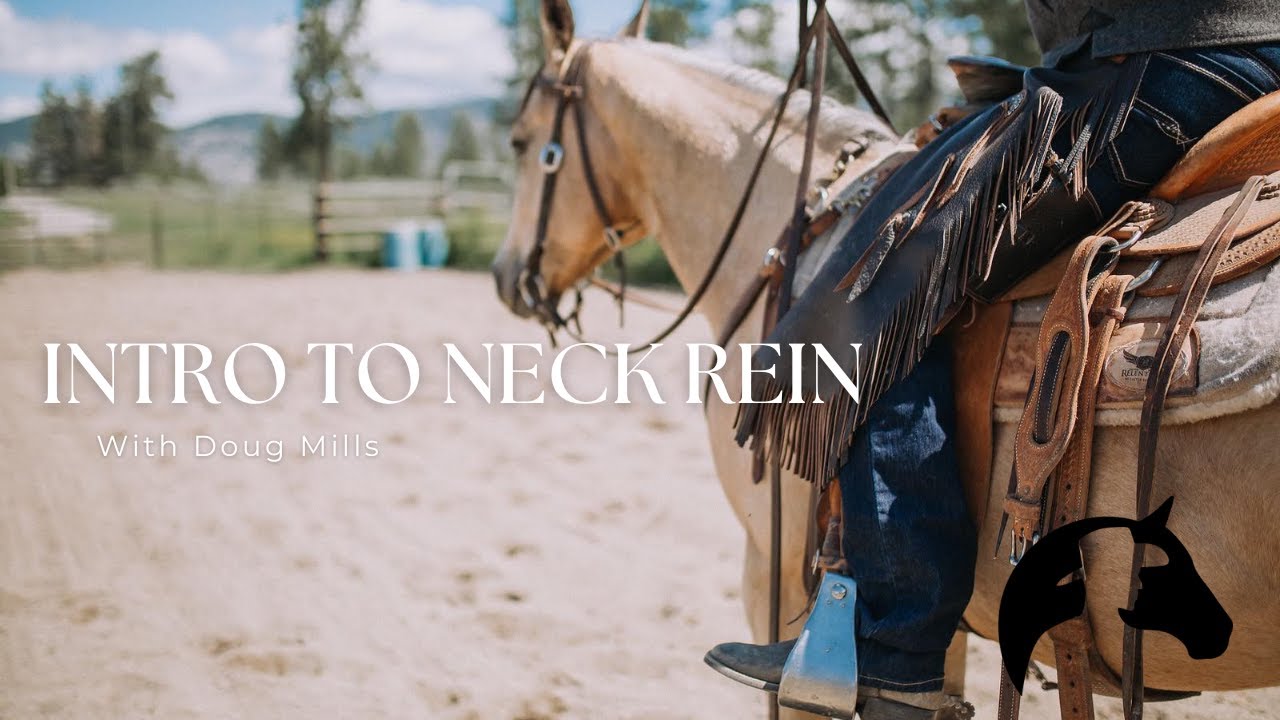 How to Teach a Horse to Neck Rein | From Halter to Bosal with Doug Mills