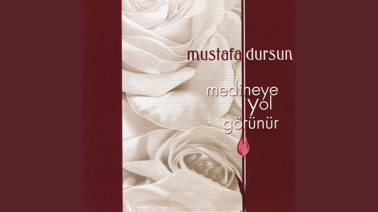 Yol Görünür