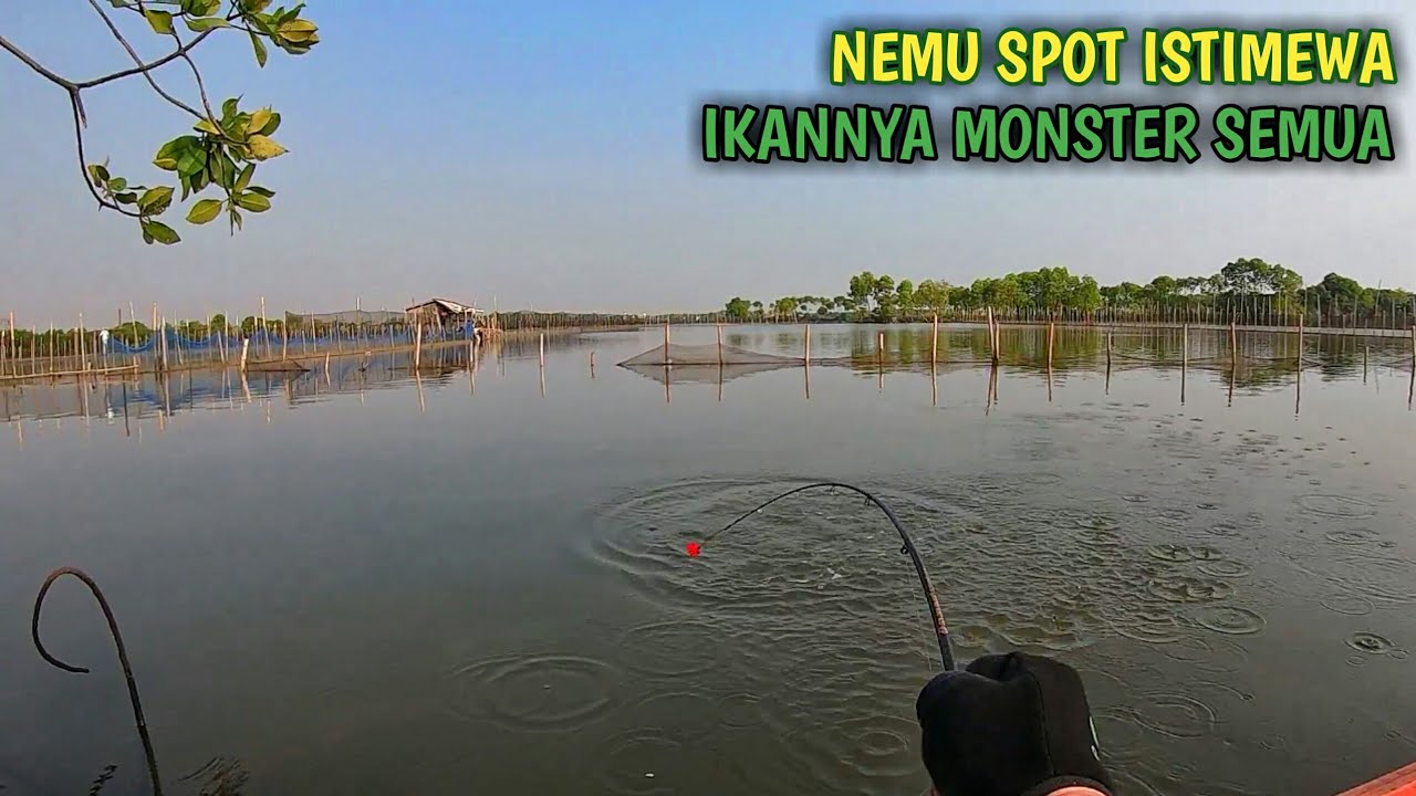 Ngerii Tenan !!! Mancing Belanak Teknik Dasaran