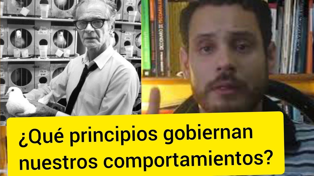 An&aacute;lisis y modificaci&oacute;n de la conducta - Lo m&aacute;s b&aacute;sico.