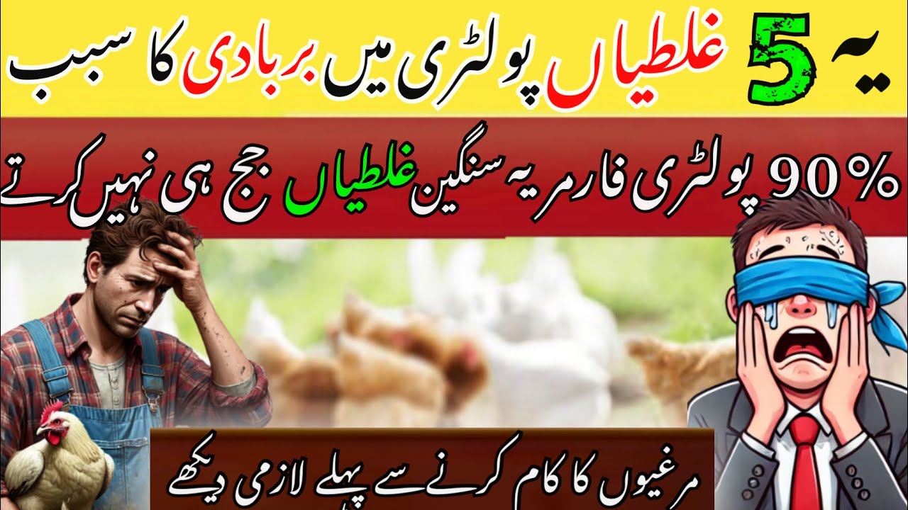 “5 Biggest Mistakes in Poultry Farming | Avoid These Mistakes & Increase Profit!”