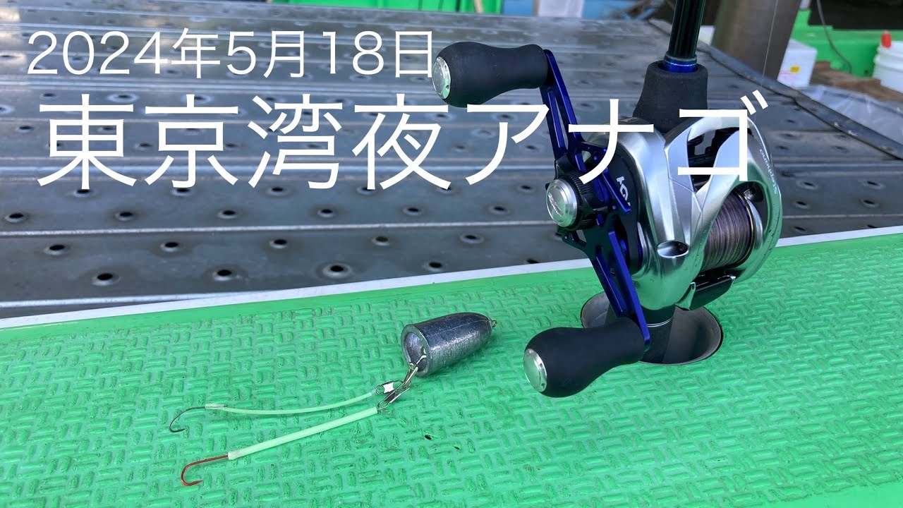 東京湾夜アナゴ釣り 2024年5月18日