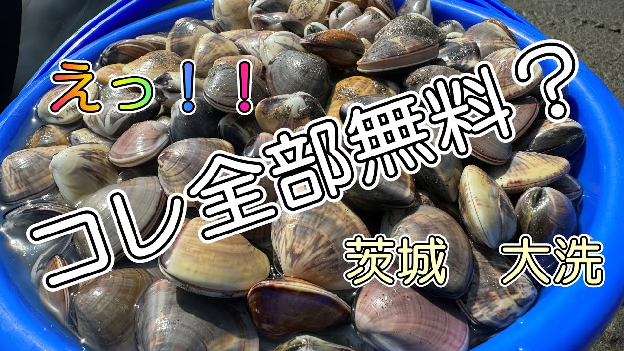【潮干狩り】急げ！茨城！！大洗！！！