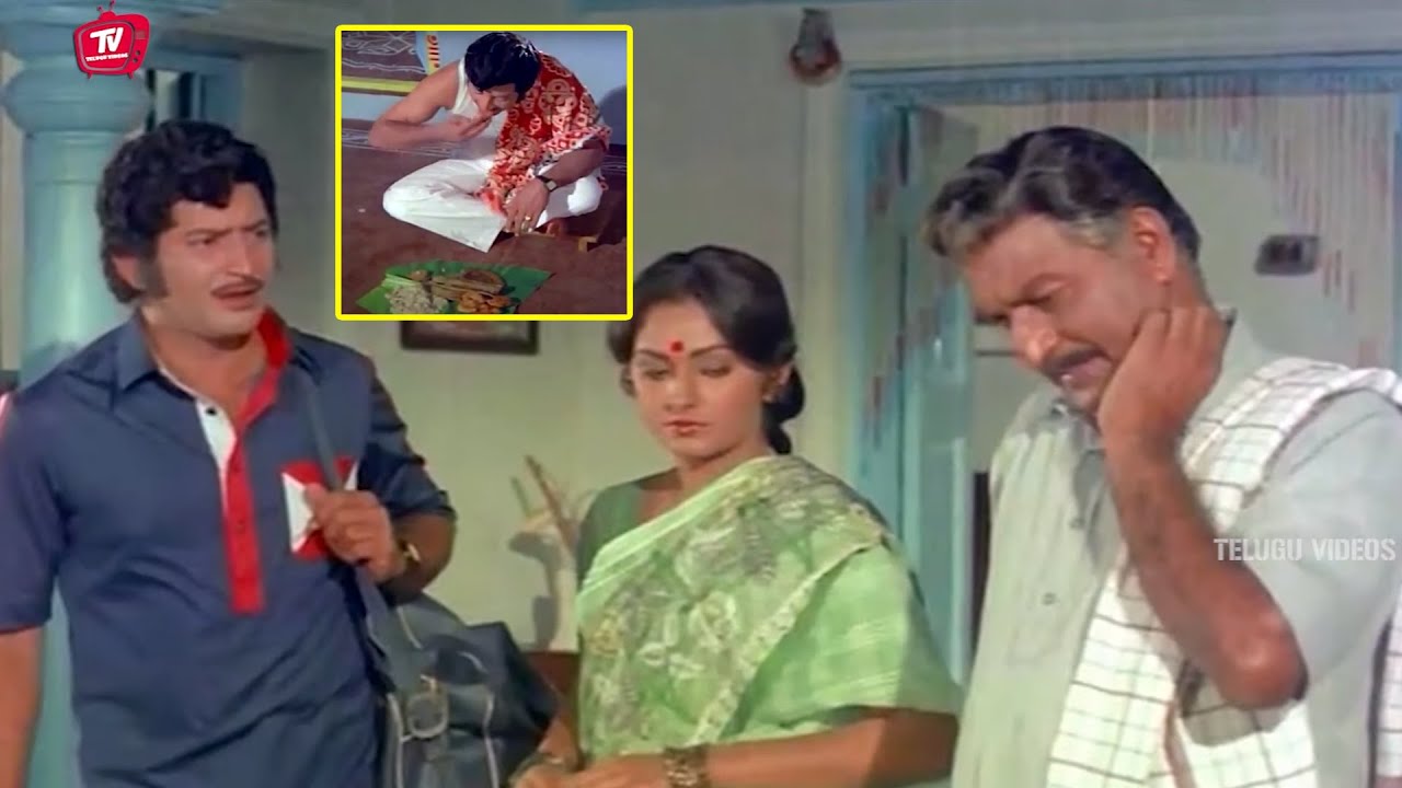 Jaya Prada, Krishna Best Old Movie Scene | Telugu Interesting Movie Scene | @TeluguVideoZ