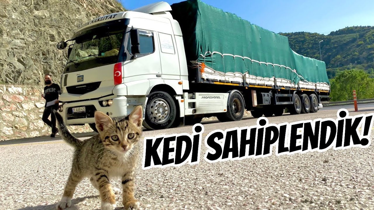 İSTANBUL TRAFİĞİNDE TIR KULLANDIM! | YÜKLÜ DORSE ANİ FREN YAPTI!