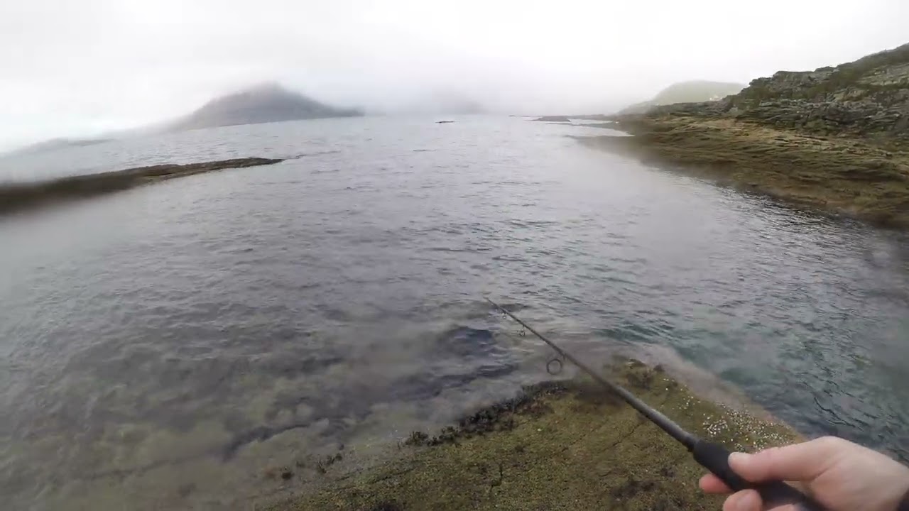 Pollock Fishing at Elgol - Isle of Skye Lure fishing - Final day of the trip!