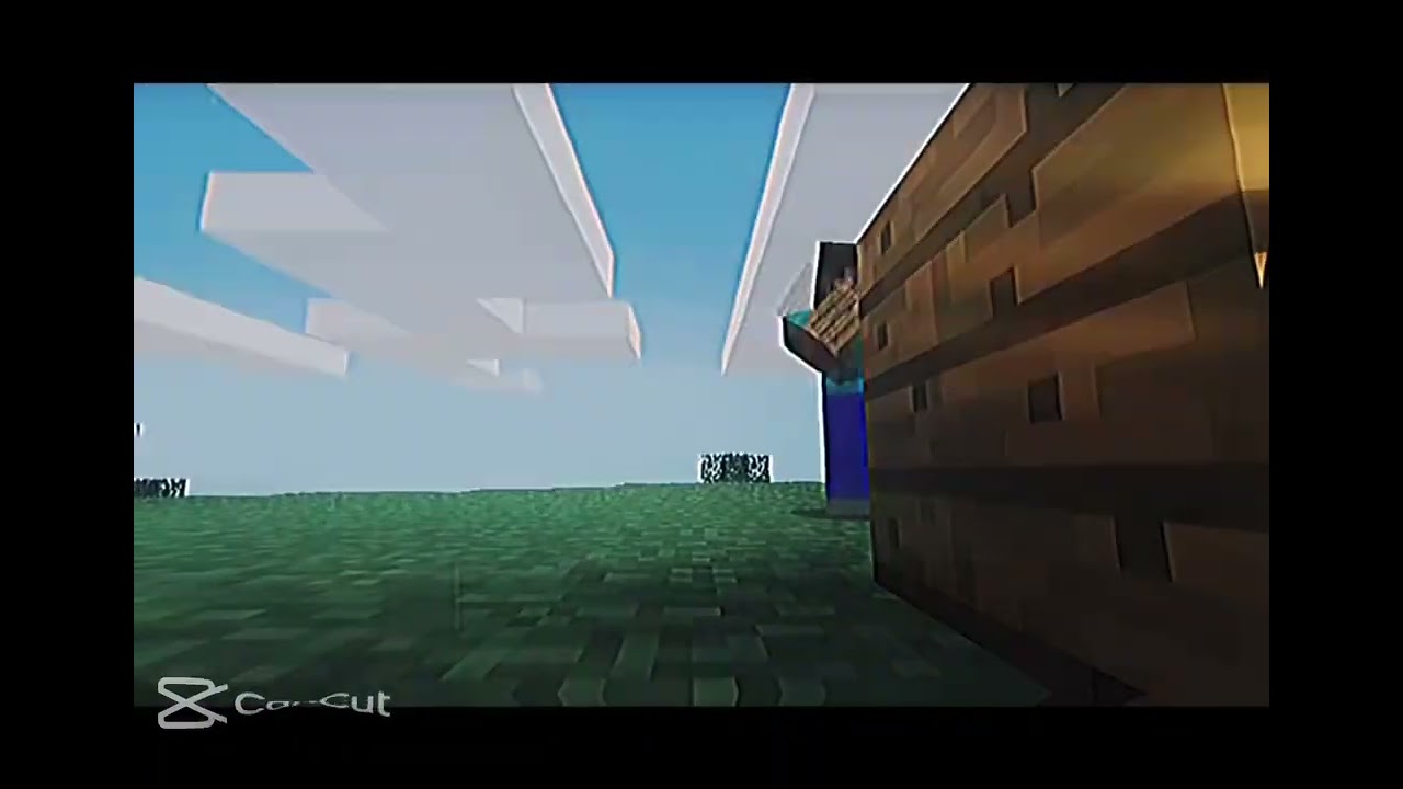 Minecraft Steve