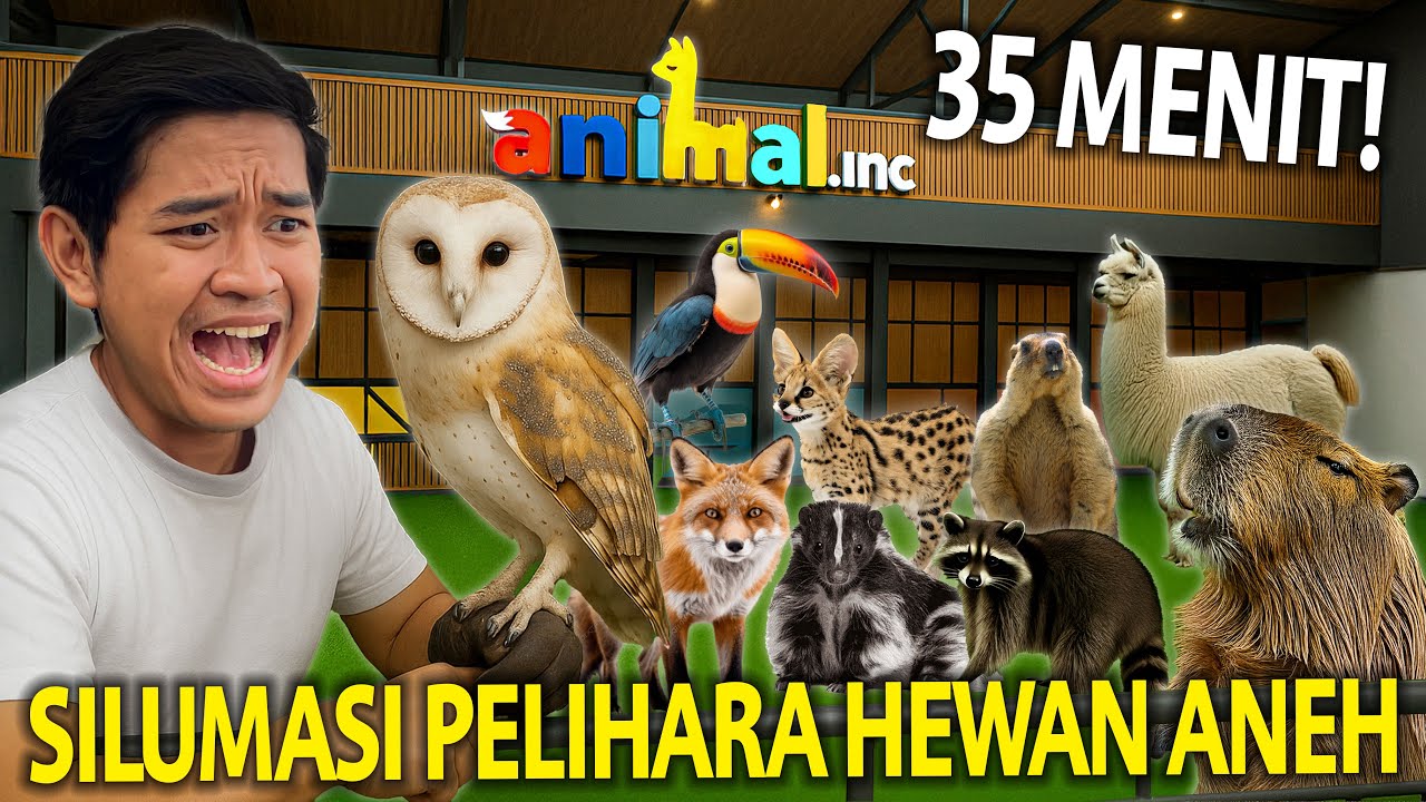 HEWAN DISINI ANEH-ANEH TAPI JINAK BANGET! SIMULASI PELIHARA HEWAN GAK LAZIM DI ANIMAL INC!