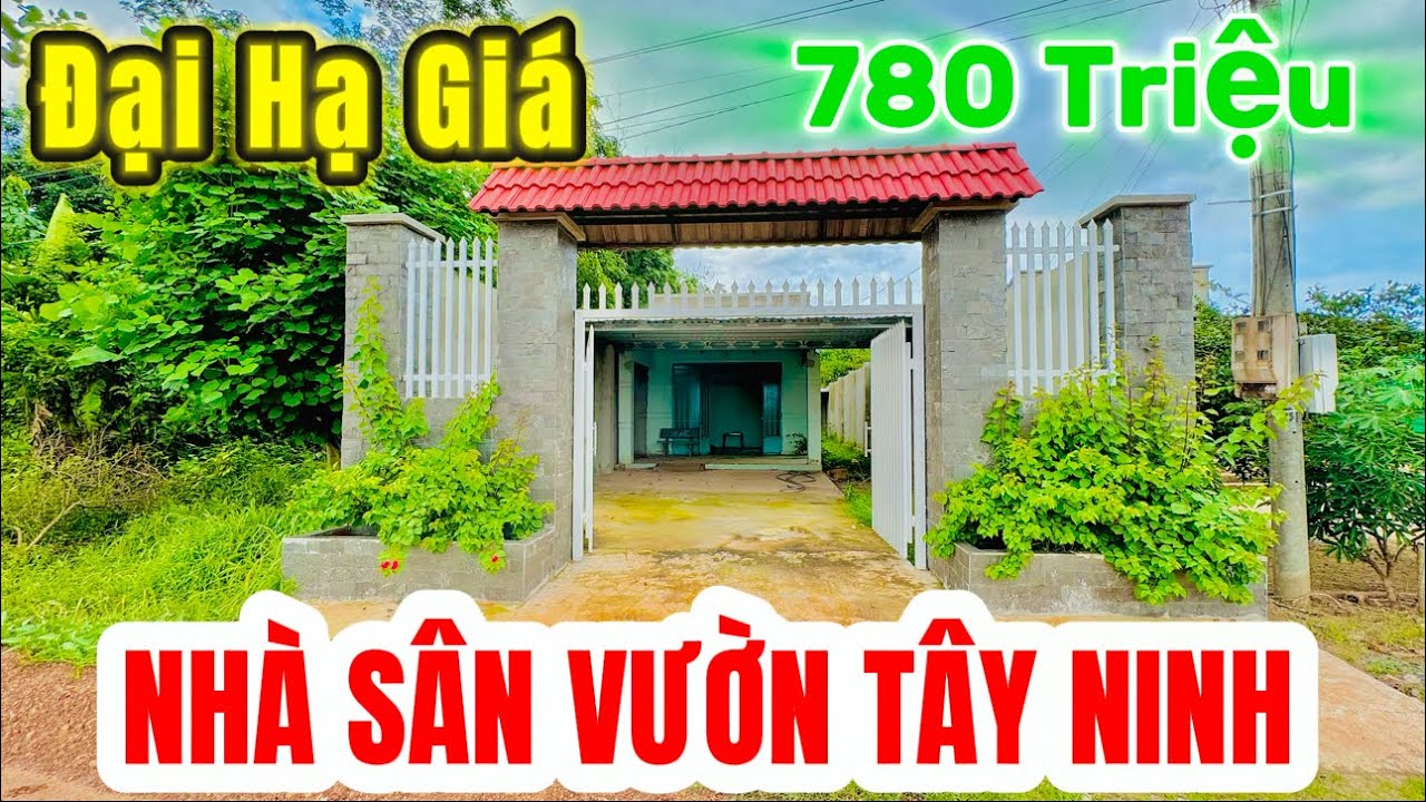 ĐẠI HẠ GIÁ nhà sân vườn DT:7x96m, 100m² Thổ Cư - Đường đang lên nhựa tại Châu Thành Tây Ninh