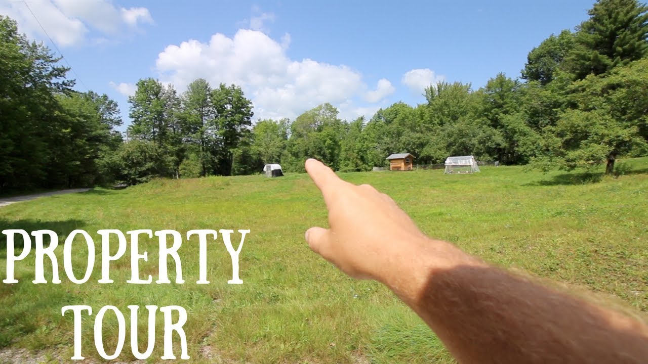 You asked for it we listened! Modern Steader property tour and Pasture Raised BLTs