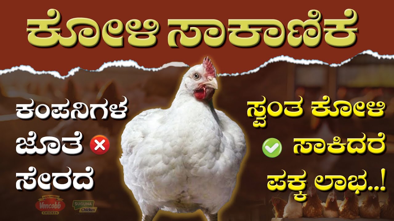 ಸ್ವಂತ ಕೋಳಿ ಸಾಕಾಣಿಕೆ ಮಾಡಿದರೆ ಭರ್ಜರಿ ಲಾಭ ಸಿಗುತ್ತೆ..! Poultry Farming in Karnataka @kannadafarmer