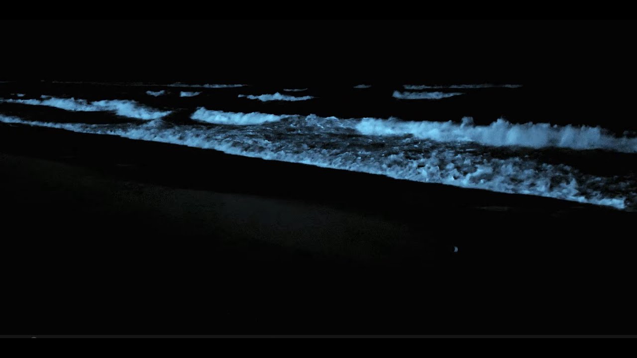 Goodbye Insomnia in 3 Minutes: Knock Out Fast with Powerful Sea Waves & Night Ocean Noise