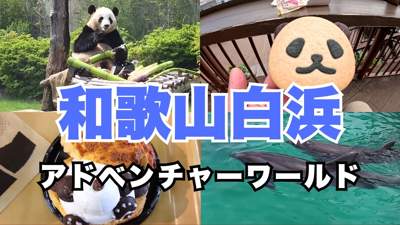 【和歌山/南紀白浜】アドベンチャーワールド！旅立つパンダさんに会いに！
