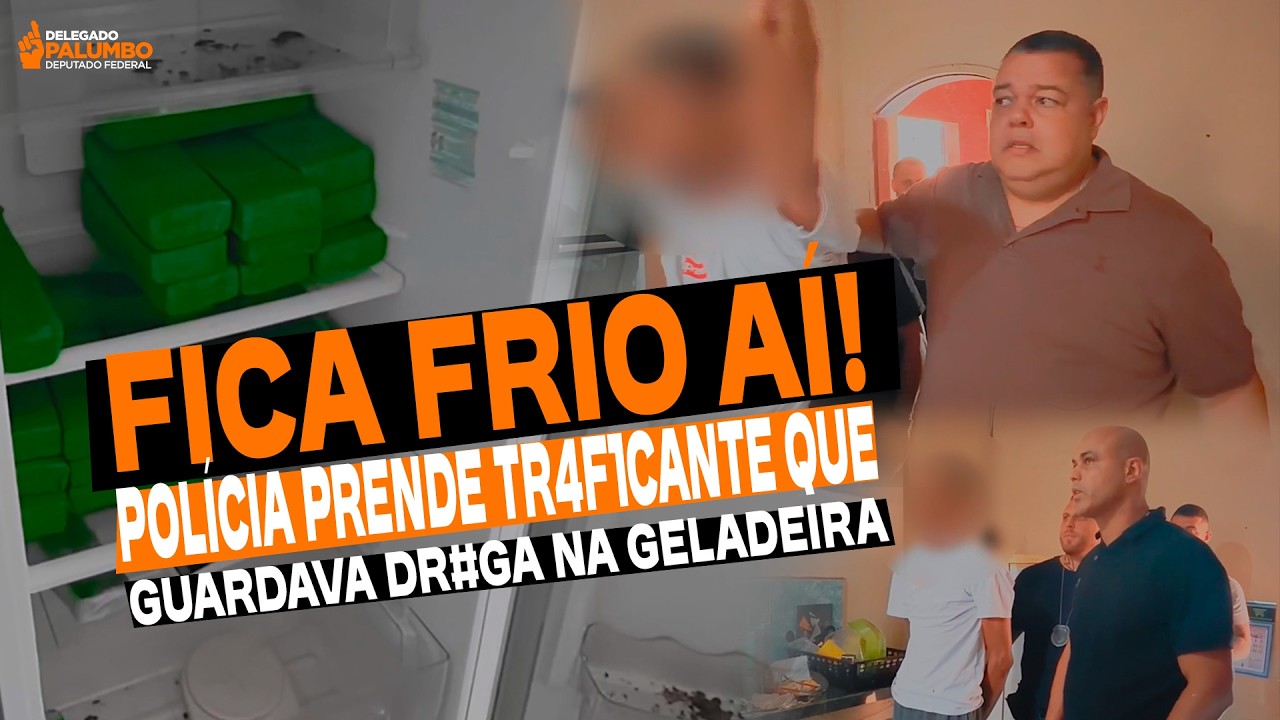 DR0G4S NA GELADEIRA E TR4F1CANTE NA CADE1A