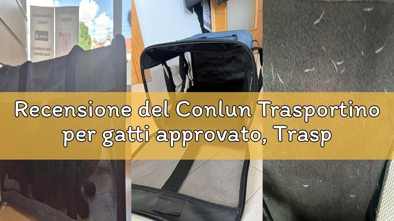 Recensione del Conlun Trasportino per gatti approvato, Trasportino morbido con guinzaglio interno, P