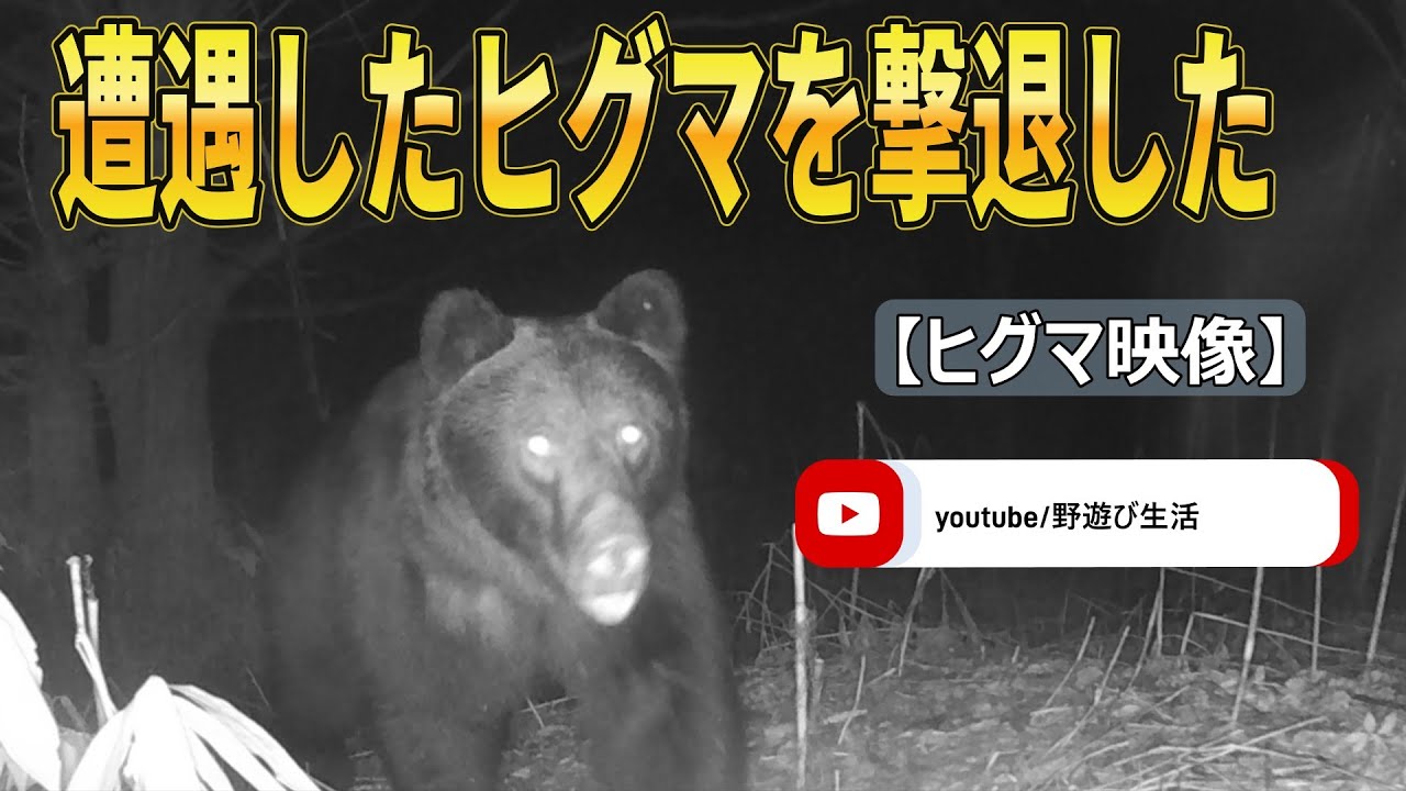 遭遇したヒグマを撃退した