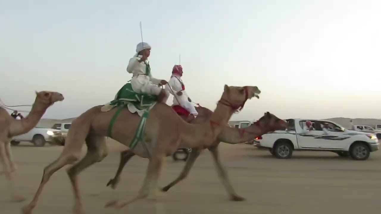 لزام. مازن سلامه الجهني