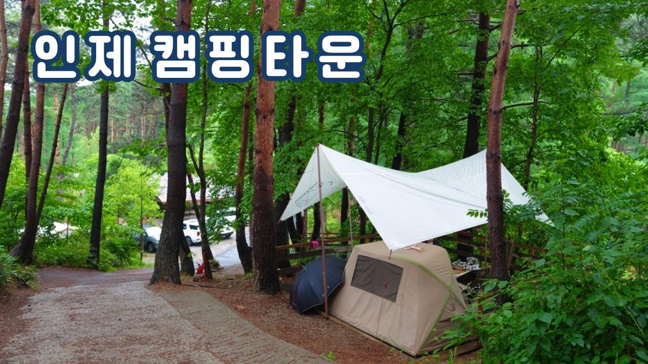 여름 숲속 우중캠핑☔️휘게만큼 좋았던 A급 클라쓰 캠핑장ㅣ역시는 역시였다❗애견동반캠핑🐶인제 캠핑타운