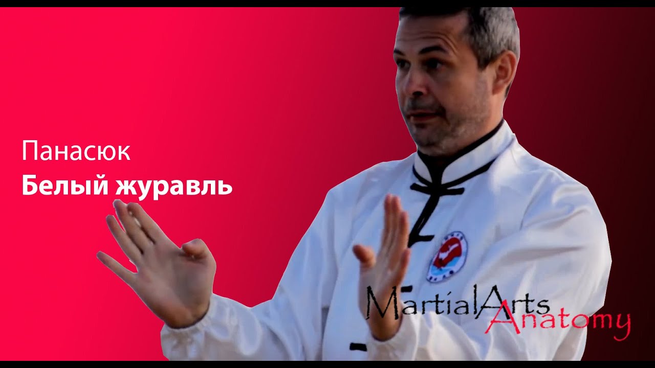 [Анализ] Российские мастера годзю-рю. Ч.1 Панасюк
