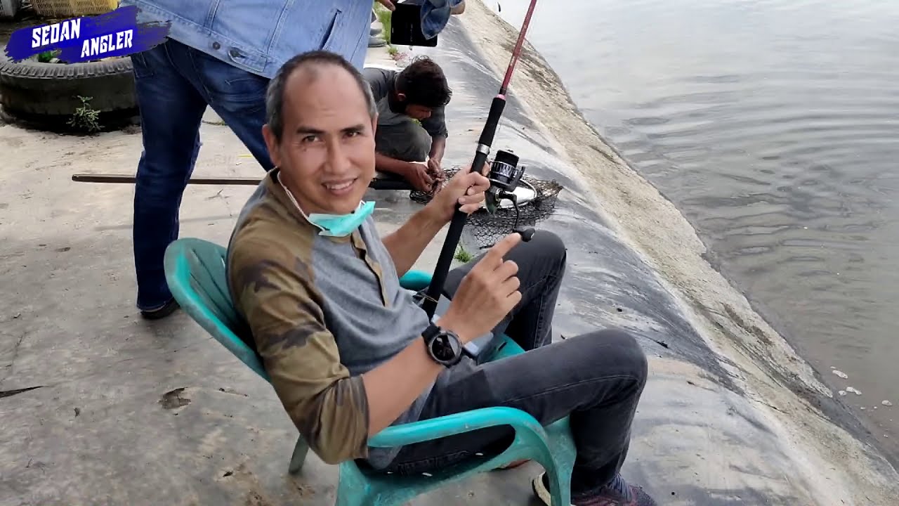 SENSASI KOLAM PANCING ACUN | FISHING POND BARAMUNDI / SIAKAP |  SEDAN ANGLER || EPS.5