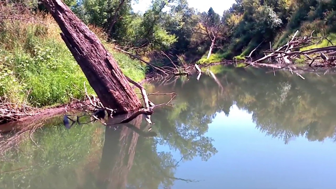 2018 8 7 Tualatin River - From Rood Bridge Park to Farmington Paddle Launch