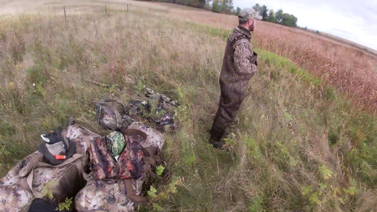N. Dakota Public Land Duck Hunt 2020 | Too Many Pintails | Part 1