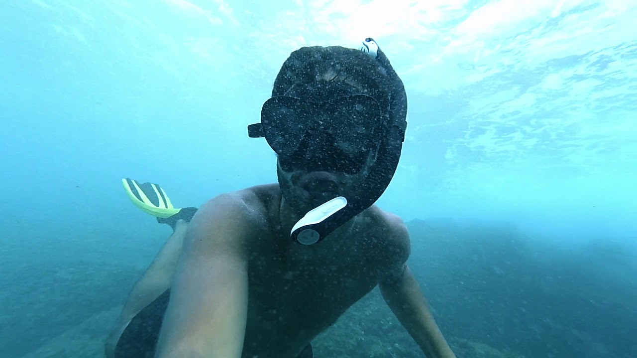 Snorkelling in Costa Brava 2017 (DRONE FOOTAGE)