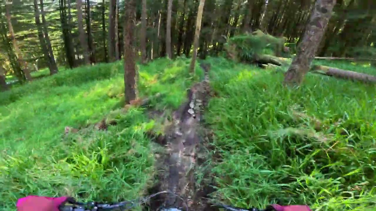 Tilbake på lokale stier @kjærestestien Bergen Norway #emtblife #emtb #mtb #specializedlevo 